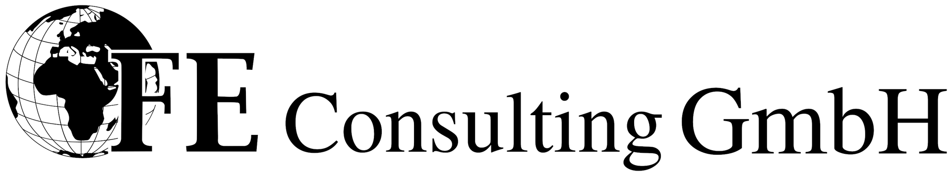 FE Consulting GmbH