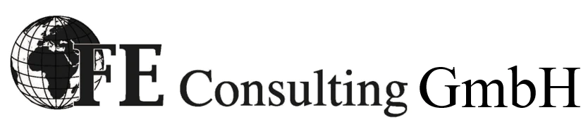 FE Consulting GmbH